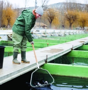 Pêche