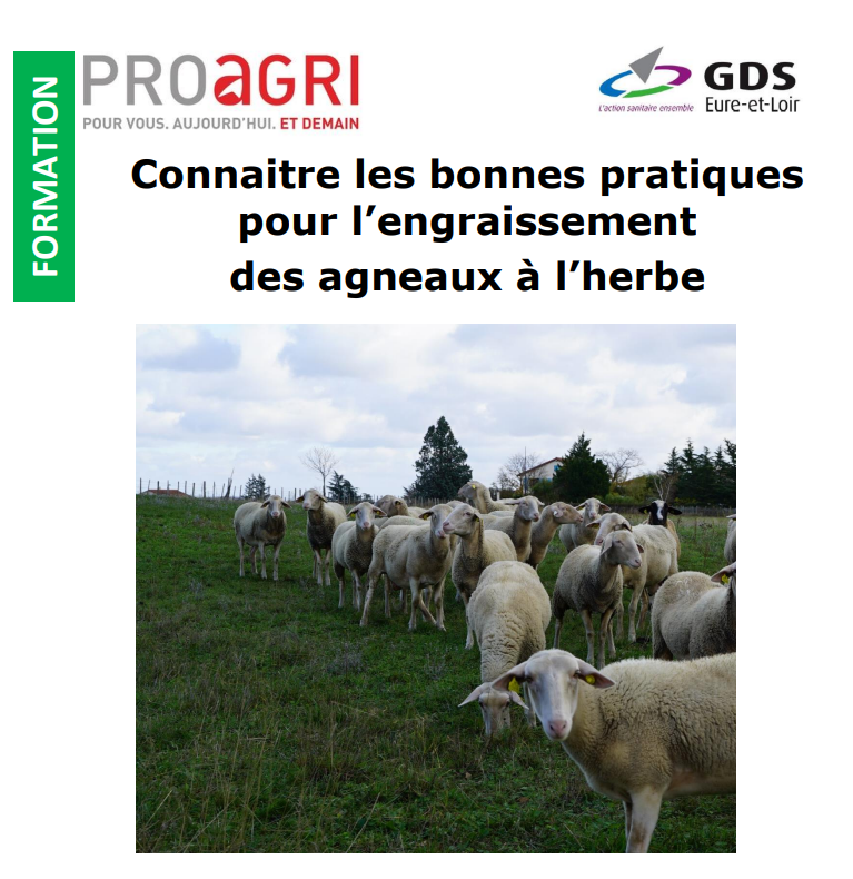 Connaitre les bonnes pratiques pour l’engraissement  des agneaux à l’herbe