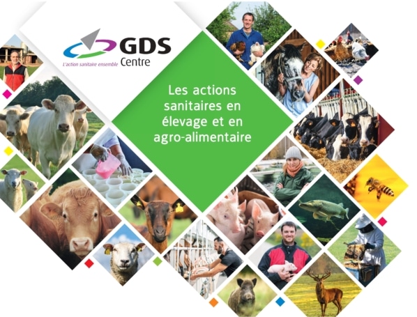 GDS Indre-et-Loire