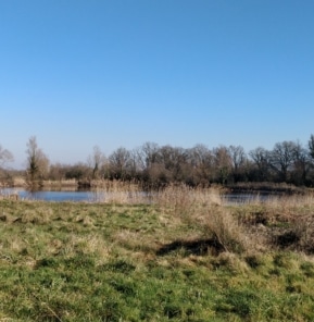 Etang Brenne