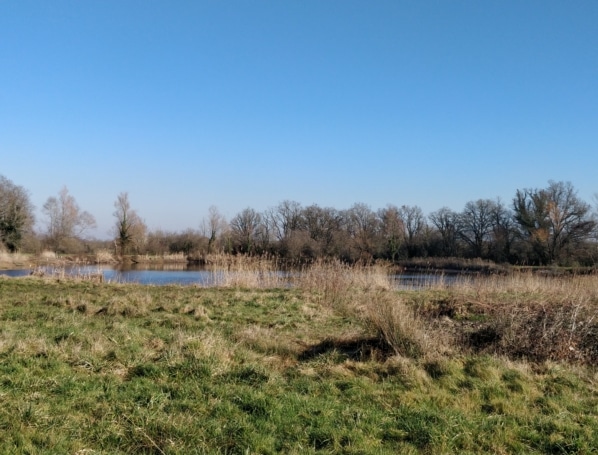 Etang Brenne