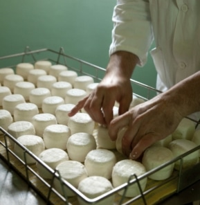 Fromages chèvre