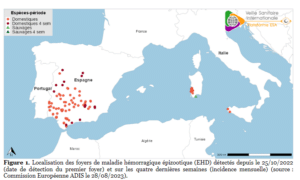 Carte Ehd 28/08/2023