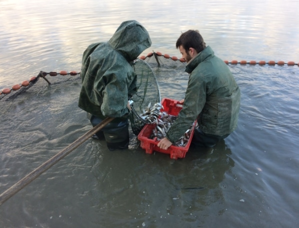 Pêche en étang