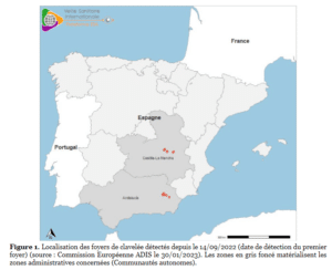 Carte Clavelée 30/01/2023