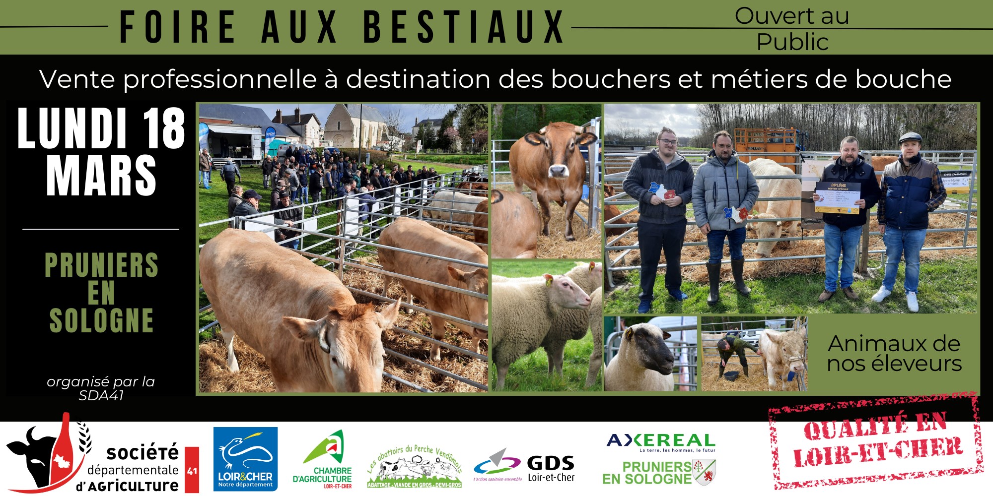 Foire aux bestiaux à Pruniers-en-Sologne