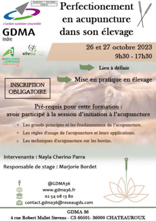 Image à la une
