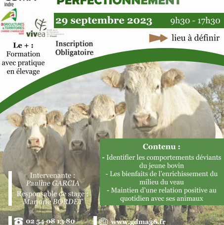 Ethologie des bovins - Perfectionnement