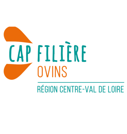 Image à la une