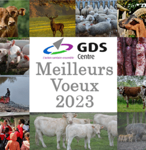 Meilleurs Vœux 2023 - GDS Centre