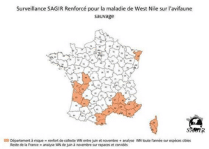 Carte surveillance West Nile